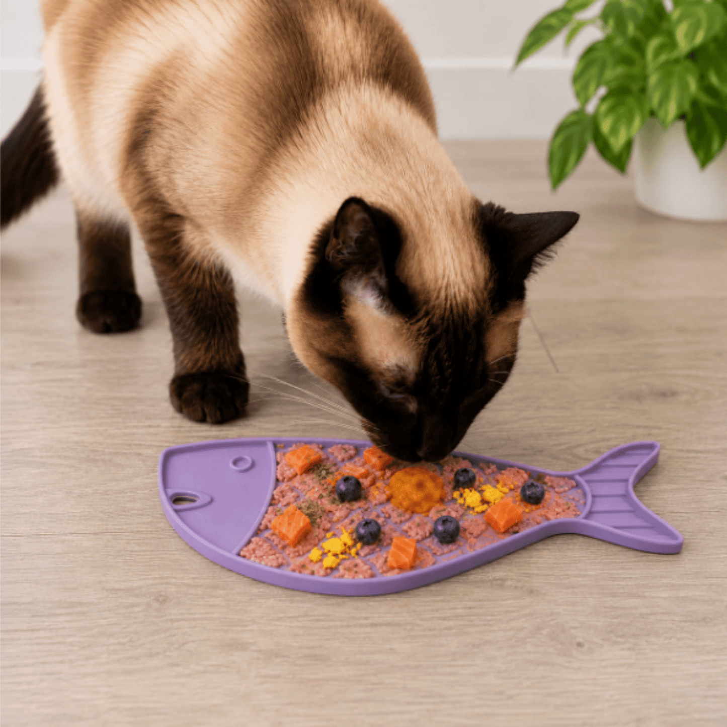 Lick Mats for Cats and Small Dogs