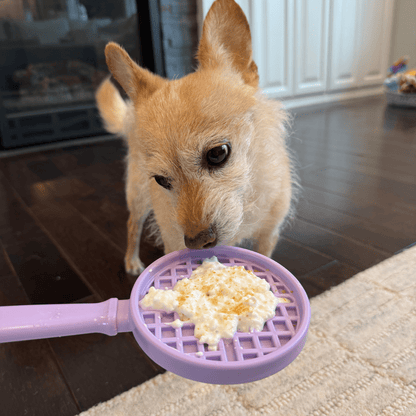 Lick Sticks | Interactive Dog Training Toy