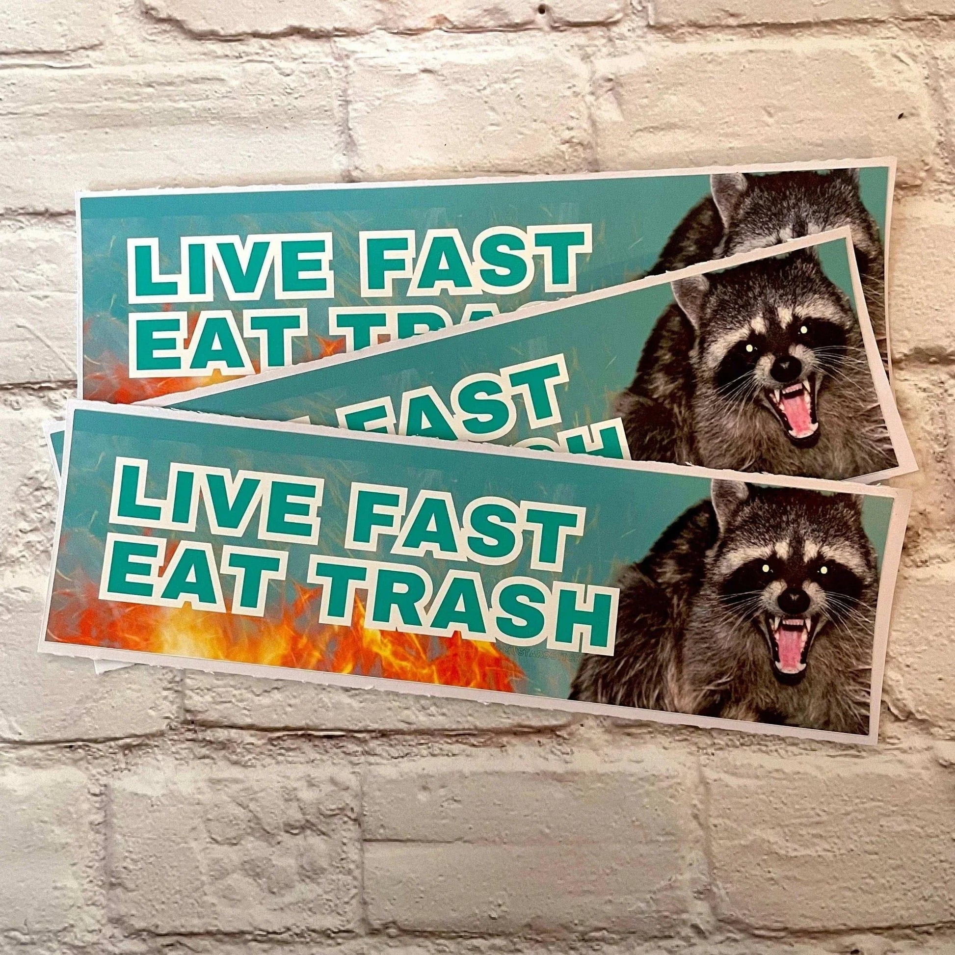 Live Fast, Eat Trash (Racoon)