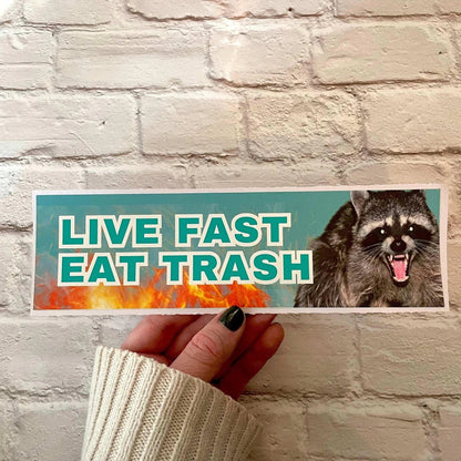 Live Fast, Eat Trash (Racoon)