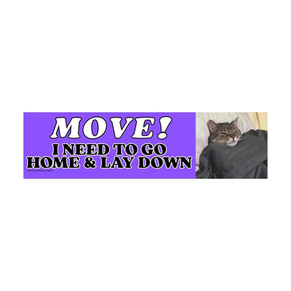 Move! I Need to Go Home and Lay Down (Cat)