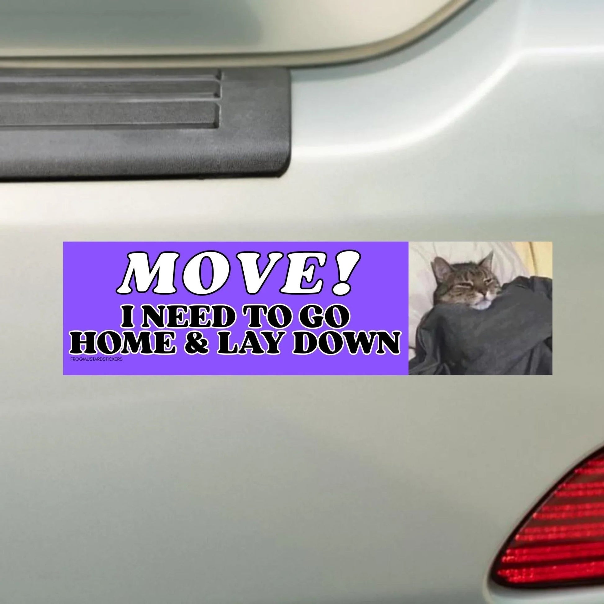 Move! I Need to Go Home and Lay Down (Cat)