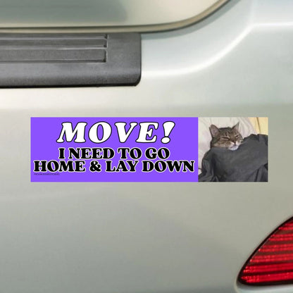 Move! I Need to Go Home and Lay Down (Cat)