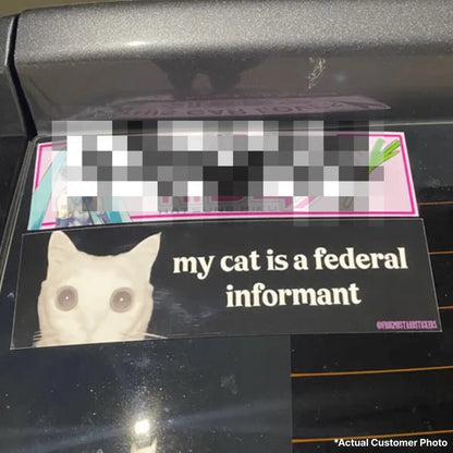 My Cat is a Federal Informant