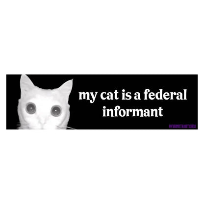My Cat is a Federal Informant