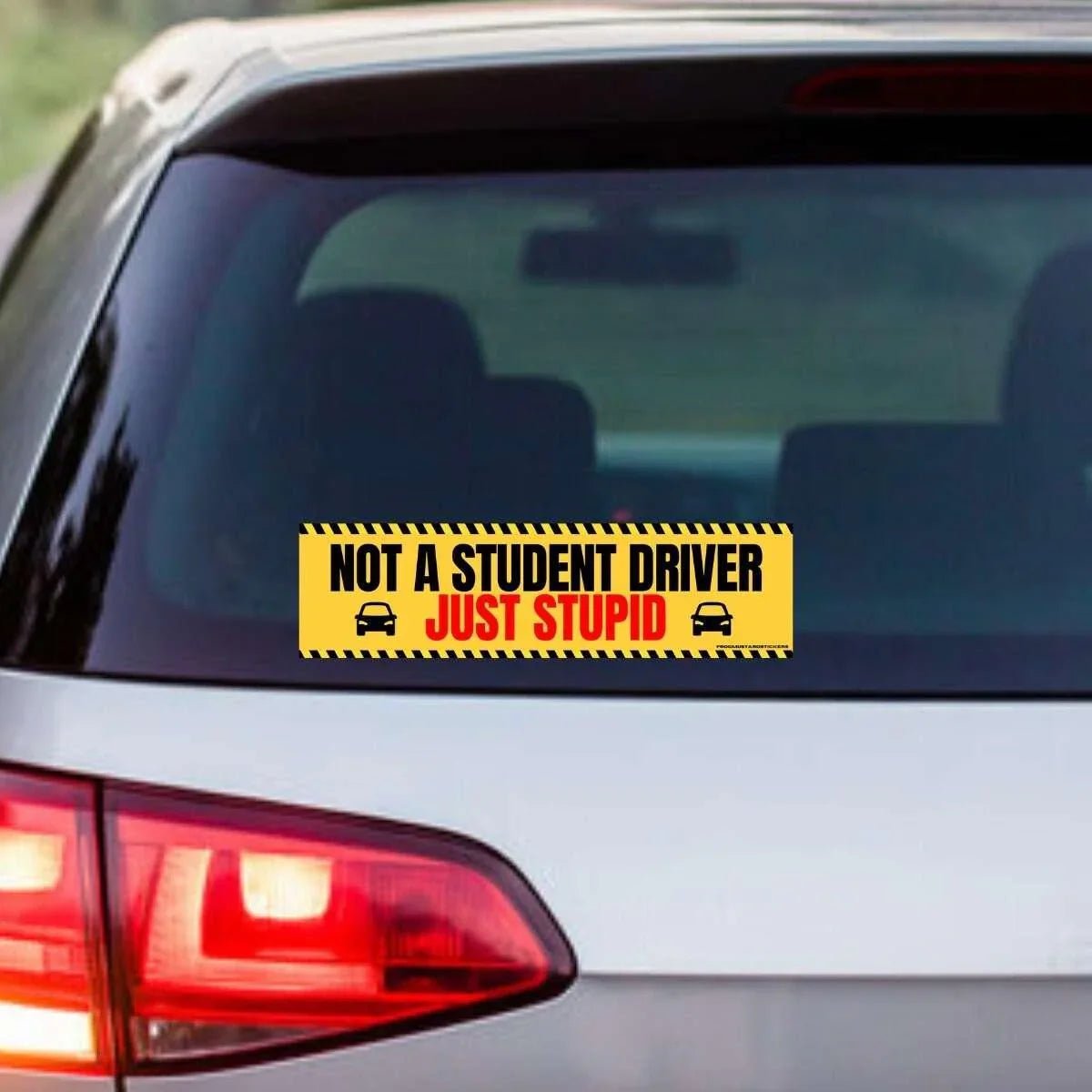 Not a Student Driver, Just Stupid