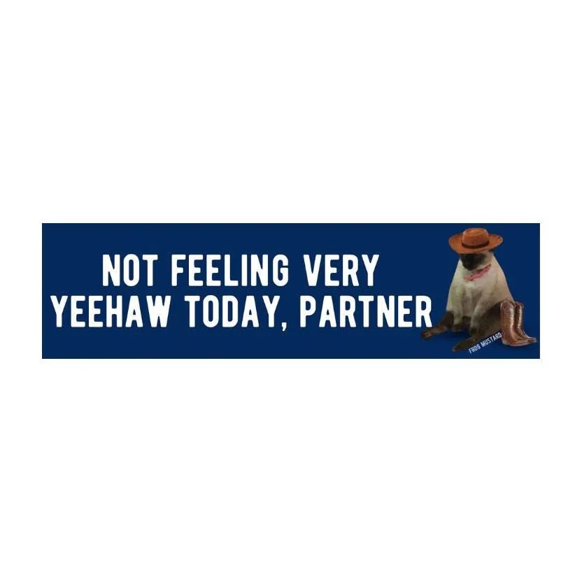 Not Feeling Very ✨ Yeehaw ✨ Today, Partner