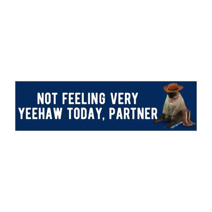 Not Feeling Very ✨ Yeehaw ✨ Today, Partner