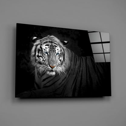 Reclining Blue Eyed Tiger Glass Wall Art