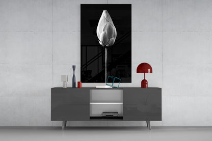 Monochrome Lotus Bud Glass Wall Art