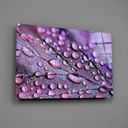Violet Dew Drops On Leaf Glass Wall Art