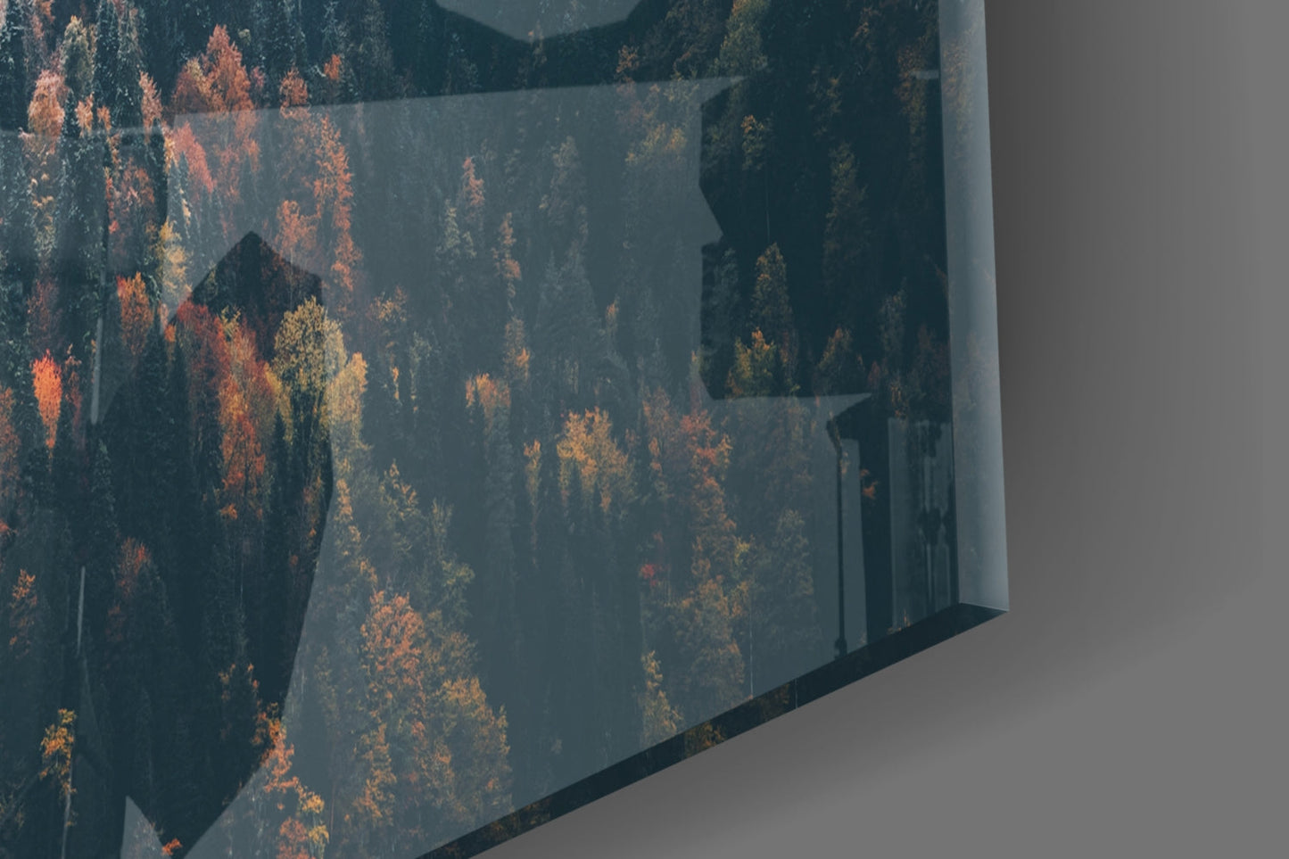 Misty Autumn Forest Slope Glass Wall Art