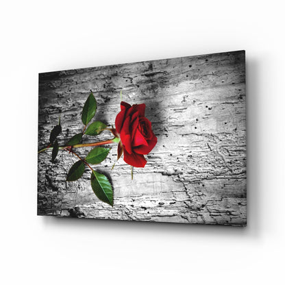 Single Red Rose on Weathered Wood Glass Wall Art