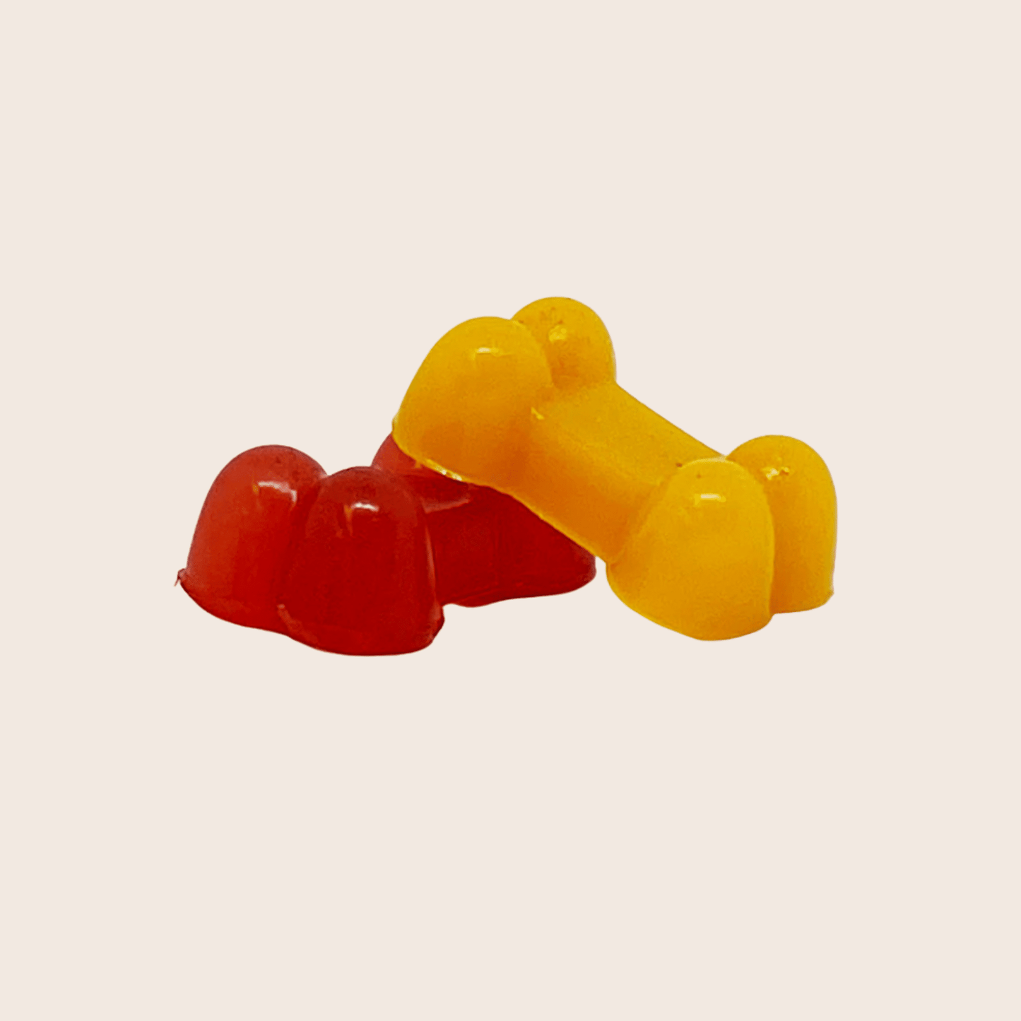 Pet Treat Molds - Shaketea