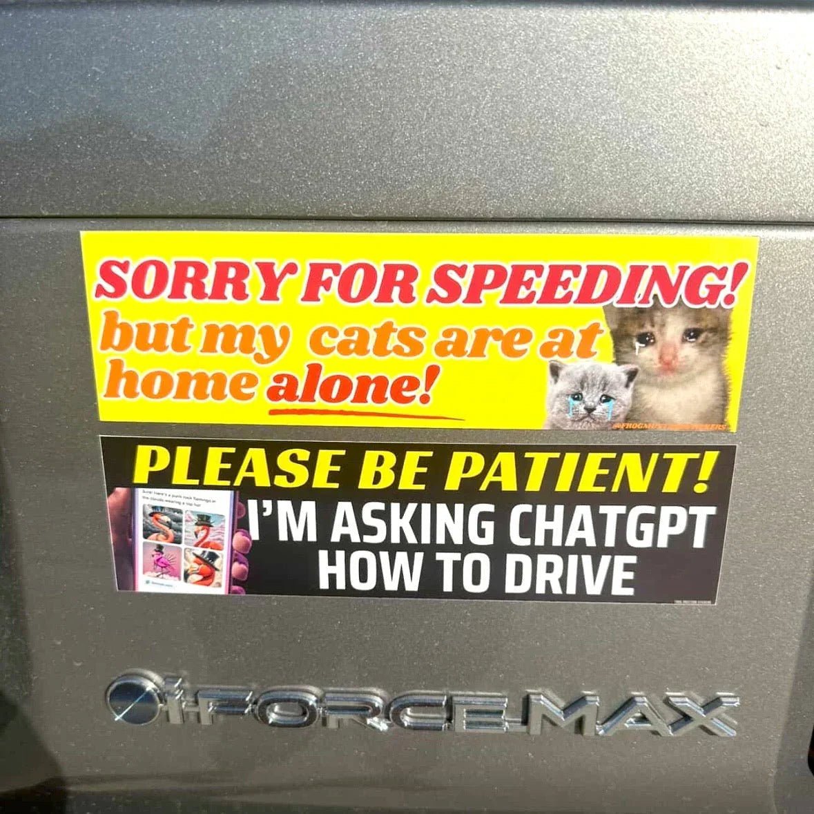 Please Be Patient! I'm Asking ChatGPT How to Drive