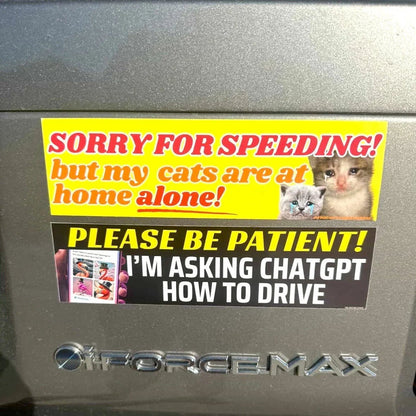 Please Be Patient! I'm Asking ChatGPT How to Drive