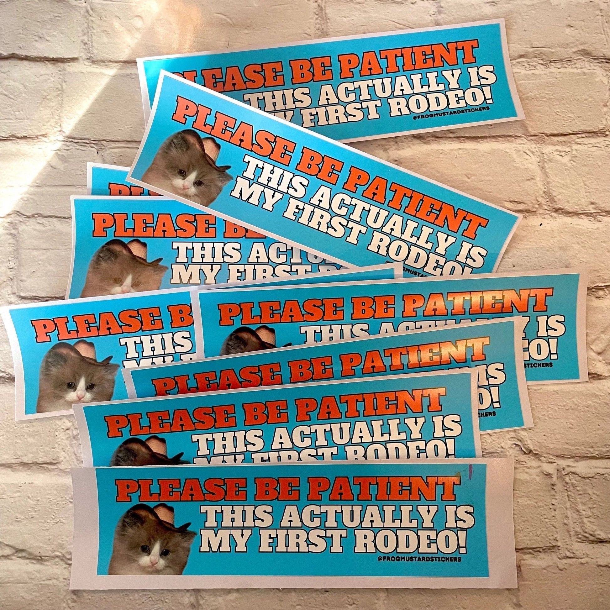 Please Be Patient, This Actually is My First Rodeo (Cat)