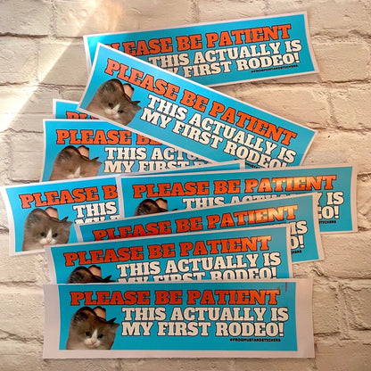 Please Be Patient, This Actually is My First Rodeo (Cat)
