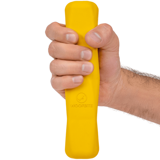 Power Stick™ - Shaketea