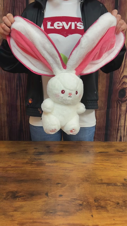 Bunny Plush with Strawberry or Carrot Design – Sweet Toy for Kids