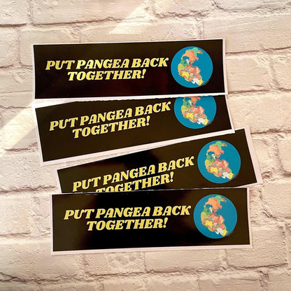 Put Pangea Back Together!