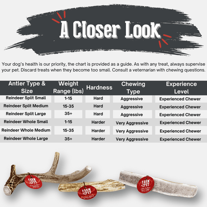 Reindeer Antler Dog Chews | Organic Chews for Dogs