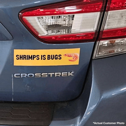 Shrimps is Bugs