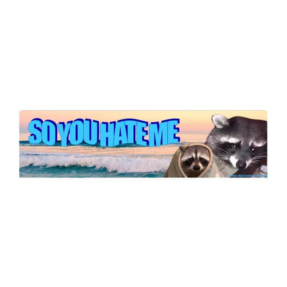 "So you hate me..." (Raccoon)