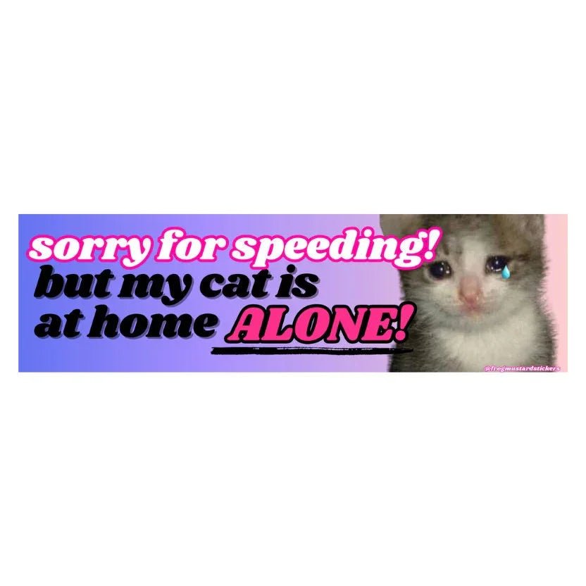 Sorry for Speeding, But My Cat is at Home Alone!