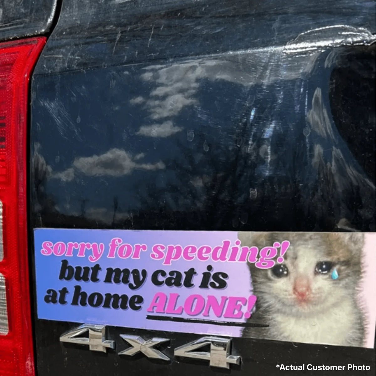 Sorry for Speeding, But My Cat is at Home Alone!