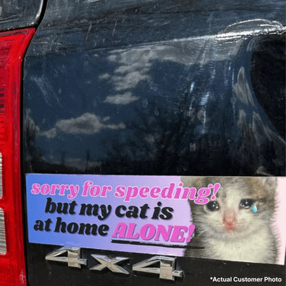 Sorry for Speeding, But My Cat is at Home Alone!