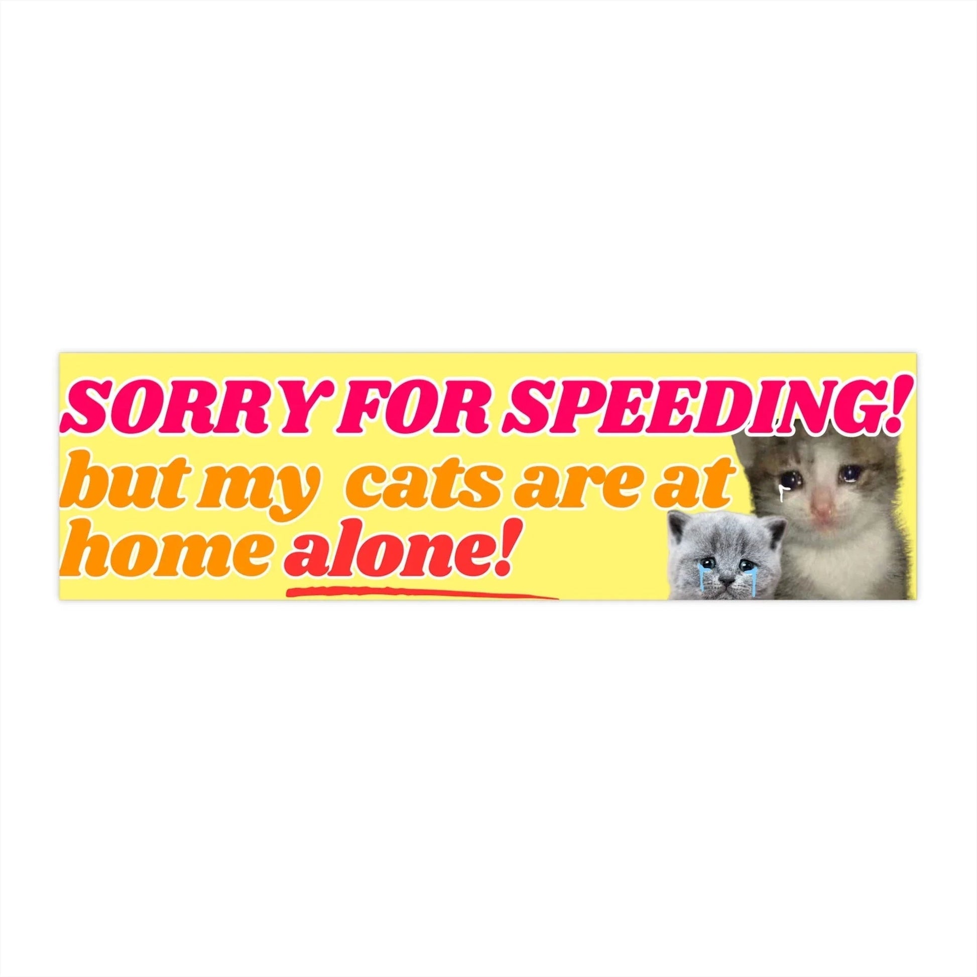 Sorry for Speeding! But My Cats (Plural) are at Home Alone!