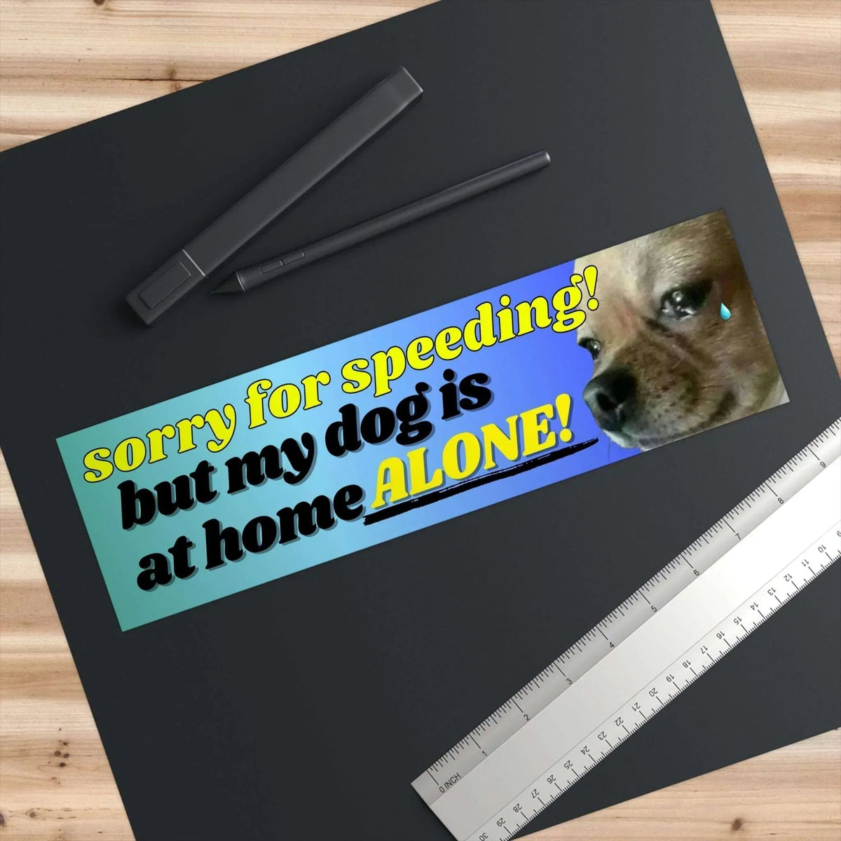 Sorry for Speeding! But My Dog is at Home Alone