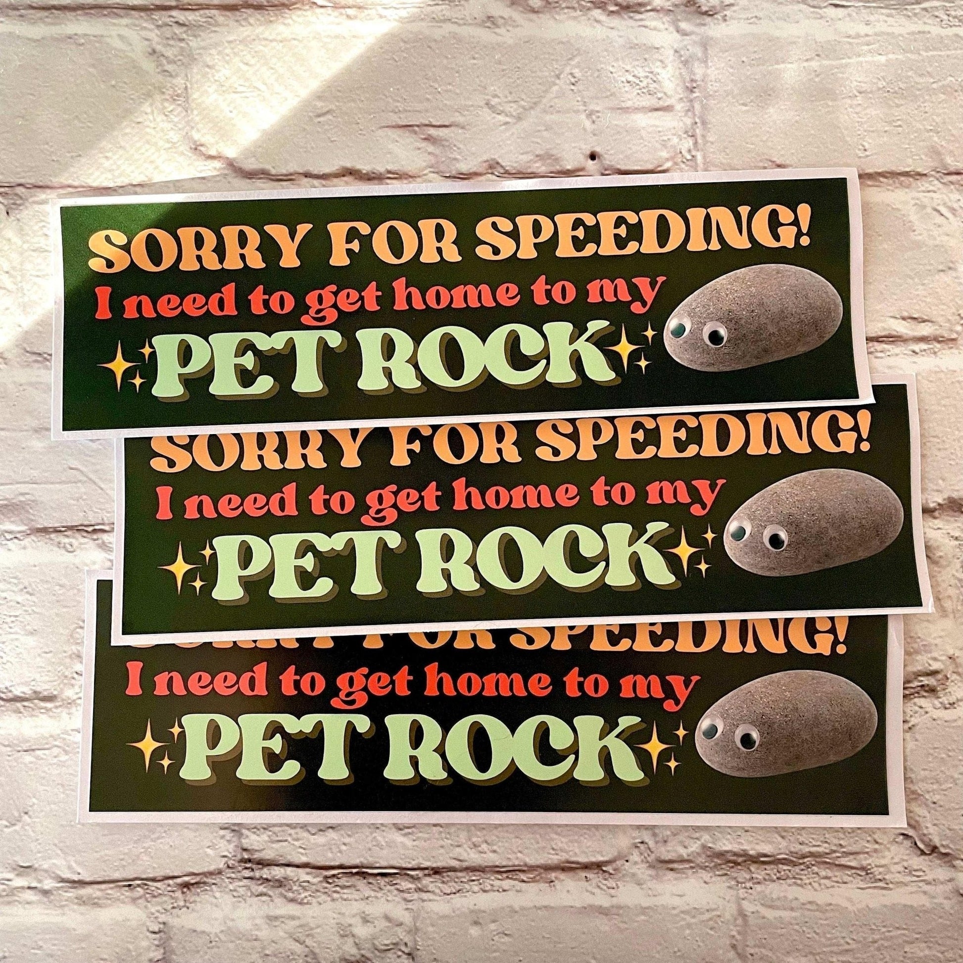 Sorry for Speeding! I Need to Get Home to My Pet Rock