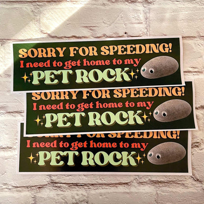 Sorry for Speeding! I Need to Get Home to My Pet Rock