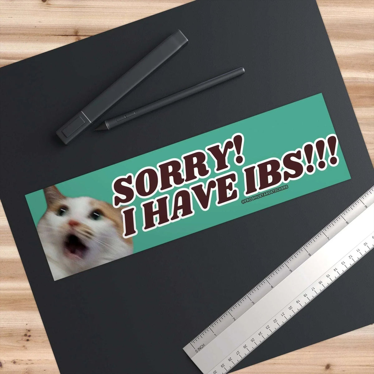 Sorry! I Have IBS!!! (Cat)