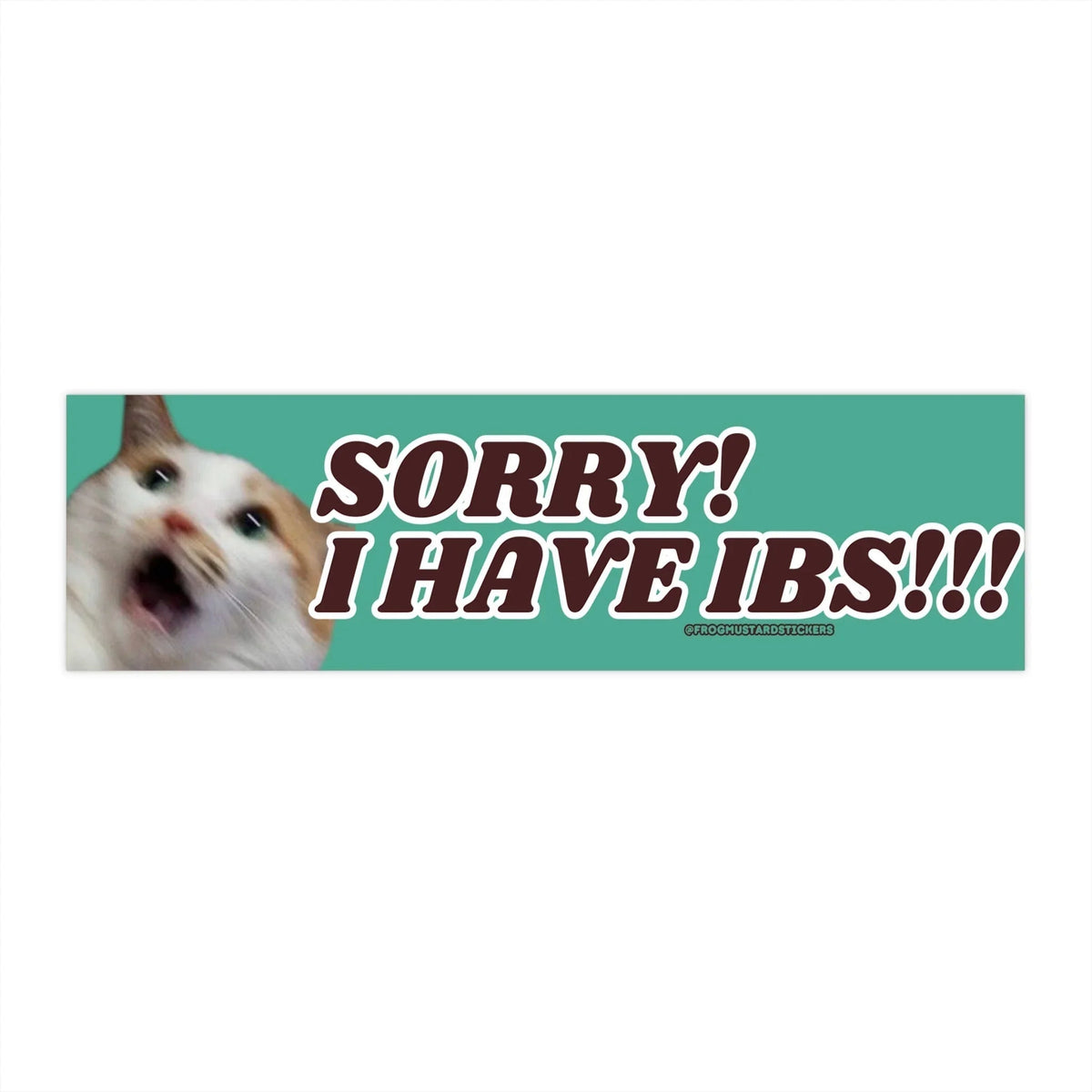 Sorry! I Have IBS!!! (Cat)