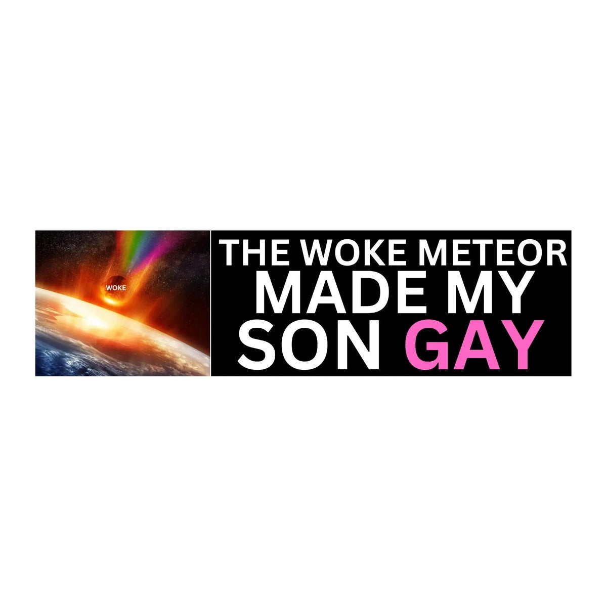 The Woke Meteor Made My Son Gay