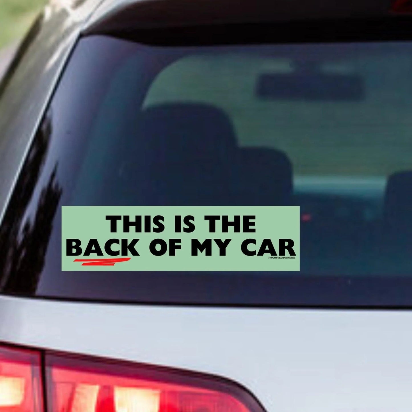 This is the Back of My Car