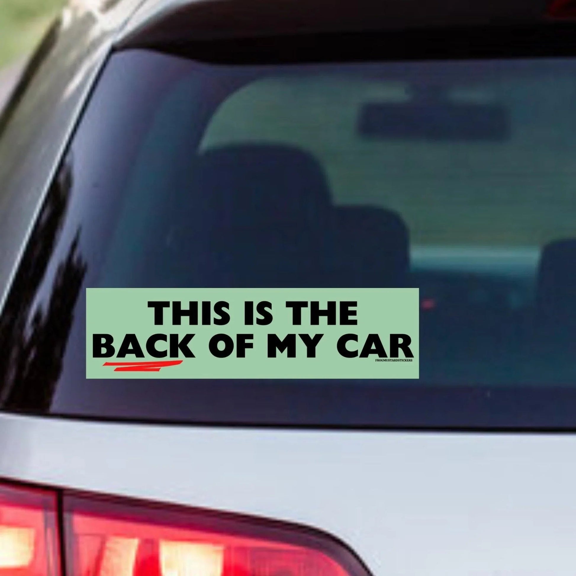 This is the Back of My Car
