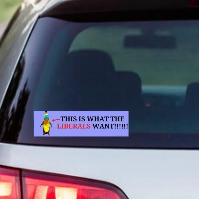 THIS is What the Liberals Want (Banana Cat)