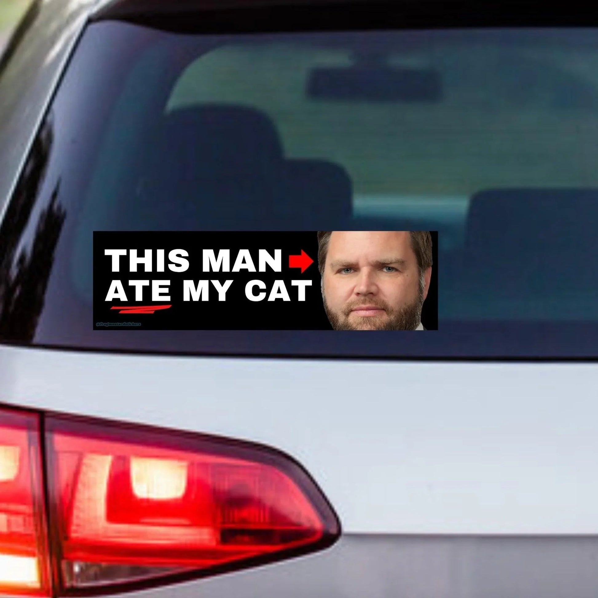 This Man (JD Vance) Ate my DOG/CAT