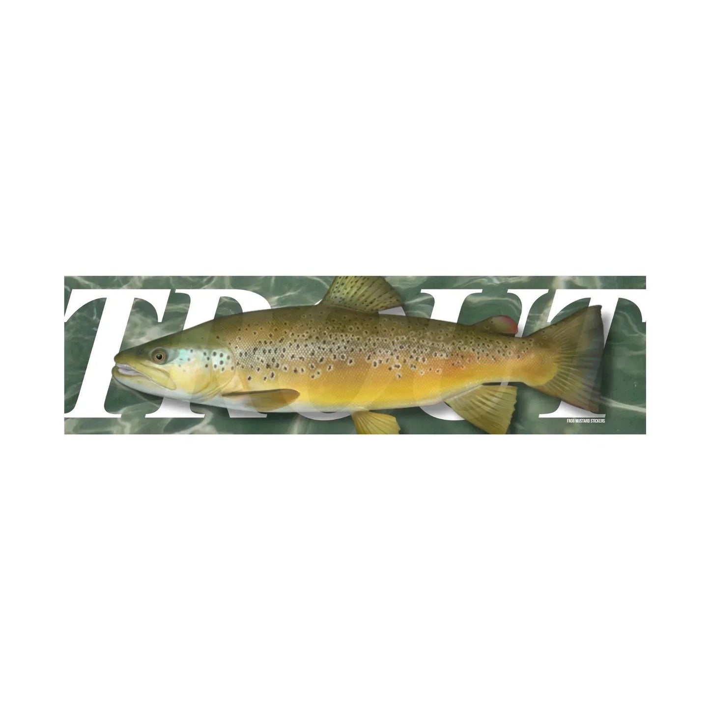 TROUT