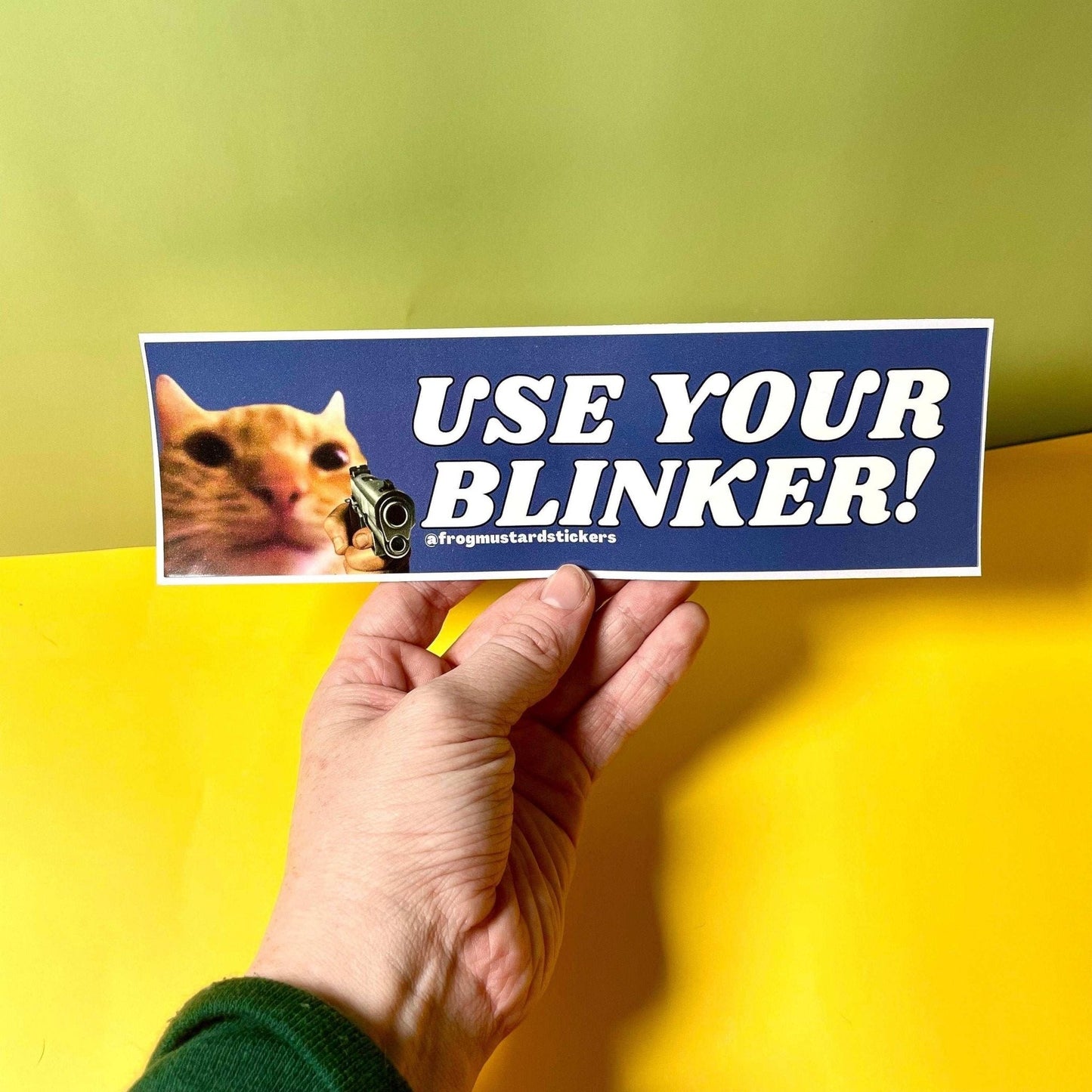 Use Your Blinker! (Gun Cat)
