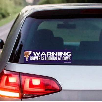 WARNING: Driving is Looking at Cows