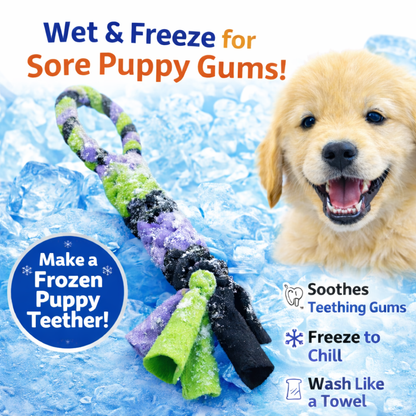 3-in-1 Bundle Enrichment Tube for Dogs - Tug Toy, Treat Dispenser & Snuffle Ball - Shaketea