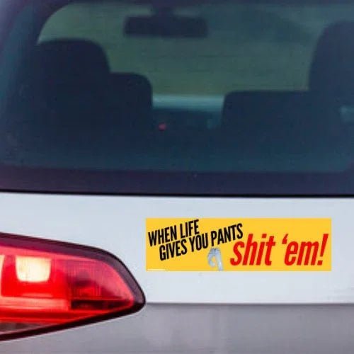 When Life Gives You Pants, Shit 'Em