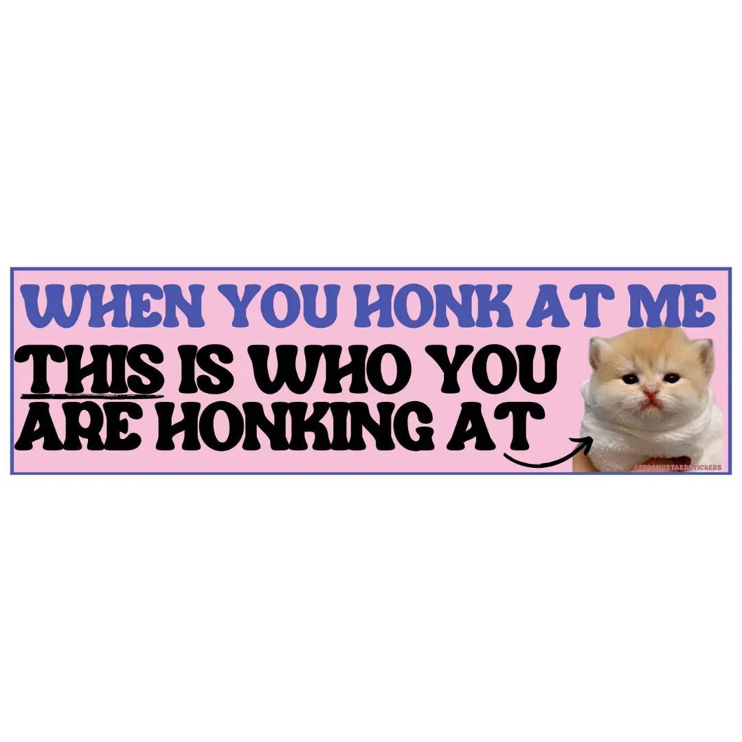 When You Honk at Me, This Is Who You Are Honking At (Cute Sad Cat)