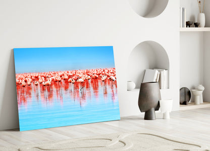 Pink Flock On Blue Lake Flamingos Glass Wall Art