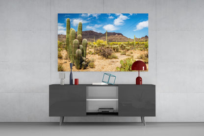 Cactuses Glass Wall Art